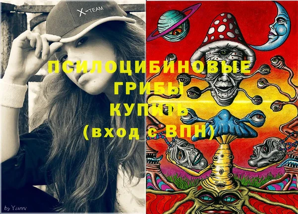 герыч Зеленодольск