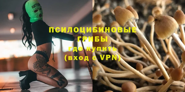 герыч Зеленодольск